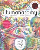Illumanatomy: See inside the human body with your magic viewing lens