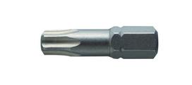Antgaliai TORX T30 / 25mm*2vnt / S2 plieno
