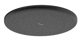 Hansgrohe Raindance Alive S – galvos dušas, skersmuo 30 cm, matinis juodas 24520670
