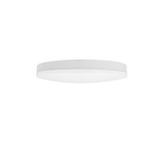 Reguliuojamas LED lubinis vonios kambario šviestuvas LED/30W/230V Ø 38 cm IP54