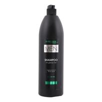PROSALON MEN FOR GREASY HAIR plaukų šampūnas, 1000 g