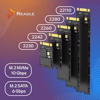 ADAPTIERIAUS VADOVAS 4x NVME PCIe 2in1 SATA NGFF M.2 SSD diskams USB 3.2 READER REAGLE