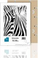 Nuotraukų rėmelis Memoboards Atmintinių lentų rėmas Plexi rėmas B1 70X100CM (ANP70x100)