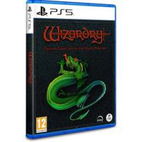Kompiuterinis žaidimas Wizardry: Proving Grounds of the Mad Overlord - PlayStation 5