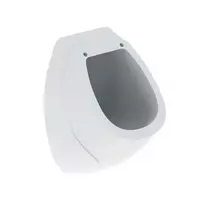 Geberit Pissoire pisuaras, galinis prijungimas, baltas 239200000
