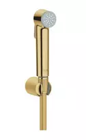 Grohe Tempesta-F - bidė dušo galvutė su laikikliu ir žarna, Cool Sunrise 27513GL1