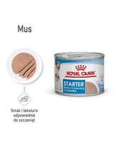 ROYAL CANIN Starter Mousse Mother & Babydog 12x195 g drėgnas maistas - putėsiai kalėms nėštumo, žindymo laikotarpiu ir šuniukams