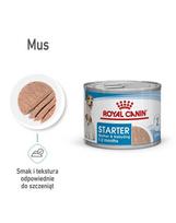 ROYAL CANIN Starter Mousse Mother & Babydog 24x195 g šlapio maisto - putėsiai, skirti nėščioms ir žindančioms kalėms bei šuniukams