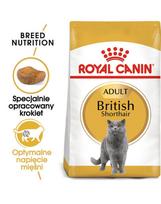ROYAL CANIN British Shorthair sausas ėdalas suaugusioms britų trumpaplaukėms katėms 3 x 400 g