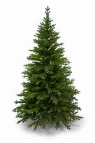 Dirbtinė kalėdinė eglutė premium spruce 100% pe, 280 cm