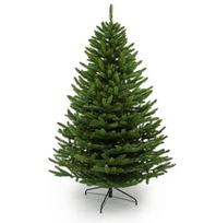 Dirbtinė kalėdinė eglutė forest spruce, 210 cm