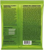 Ernie Ball Slinky 045-100 Bosinės Gitaros Stygos