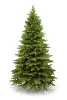 Dirbtinė kalėdinė eglutė limba pine 100% pe, 255 cm
