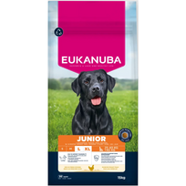 Eukauba Life Care Large Junior sausas maistas didelių veislių jauniems šunims su vištiena, 15 kg
