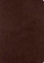 ESV Single Column Journaling Bible, Large Print