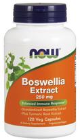 Boswellia Extract Plus Turmeric Root Extract, 250mg - 120 vcaps