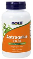 Astragalus, 500mg - 100 caps