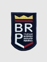 Vilniaus Barboros Radvilaitės progimnazijos emblema, EMBLEMA: Emblema