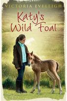 Katys Exmoor Ponies: Katys Wild Foal: Book 1 Book 1