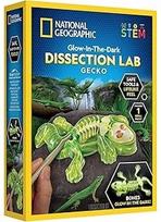 Mokslinis rinkinys NATIONAL GEOGRAPHIC Glow in the Dark Gecko Dissection Lab