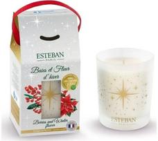 Kvapni žvakė ESTEBAN Baies et fleur d'hiver, 180 g