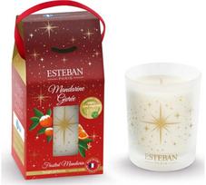 Kvapni žvakė ESTEBAN Mandarine givre, 180 g