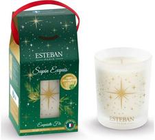 Kvapni žvakė ESTEBAN Sapin exquis, 70 g