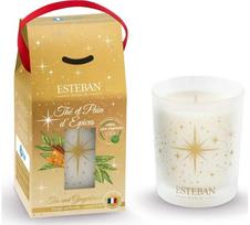 Kvapni žvakė ESTEBAN The et pain d'epices, 180 g