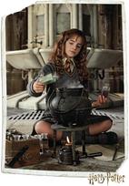 Plakatas Harry Potter - Hermione Granger by wb, 61 x 91,5 cm