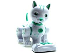 Katė Robotas su valdymo pultu 8 m.+