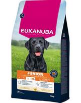 Eukauba Life Care Large Junior sausas maistas didelių veislių jauniems šunims su vištiena, 15 kg