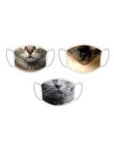 FERA apsauginė kaukė Cat x3