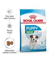 ROYAL CANIN Mini Puppy / Junior sausas ėdalas 2-10 mėnesių mažų veislių šuniukams 2 x 800 g