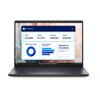 Dell Pro Premium 13 PA13250 | 13.3 " | FHD+ | Anti-glare | Intel Core Ultra 7 | 266V | 16GB | LPDDR5x | Solid-state drive capac