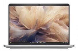 DELL PRO 14 PLUS U5-235U/14FHD+/16GB/512SSD/WWR/W11P/3PS (US-KB)|BTO106_PB14250_EMEA_USK