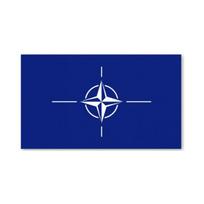 Nato vėliava (1x1,70cm) siūta