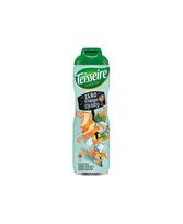 Sirupas TEISSEIRE, Orange Spritz, be cukraus, 0,6l