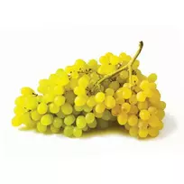 Žaliosios besėklės vynuogės JUMBO