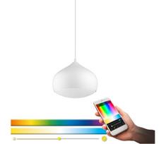 Eglo 98047 - dimeriuojamas LED RGBW pakabinamas šviestuvas ant laido COMBA-C LED/18W/230V BT