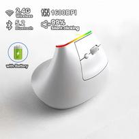 RGB Vertikali Pelė 2.4G Belaidė Pelė Dvigubo Režimo Bluetooth Pelė Ergonomiška Pelė Įkraunamos Pelės Tyli Pelė PC Nešiojamam Kompiuteriui balta