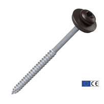 Stoginiai savigręžiai į medį (RAL) (šiferiui) T6x100-Zn, (EPDM 19)