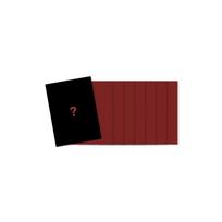 Stray Kids – World Tour [dominATE SEOUL] PhotoCard PostCard (Fansshop)
