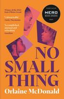 No Small Thing, 'One of the best debut novels I’ve read in recent years' Bernardine Evaristo