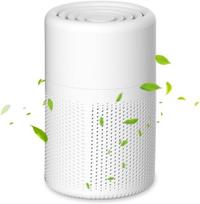 Nešiojamas oro valytuvas su H13 HEPA filtru
