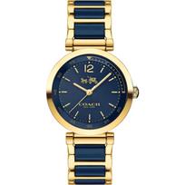 Coach sport ceramic Dual Tone Blue Dial Ladies Watch- 14502462 mėlyna