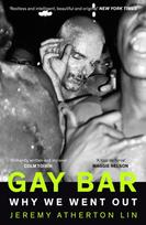 Gay Bar, Why We Went Out