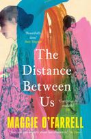 Distance Between Us, The Sunday Times Bestseller from the Author of Hamnet