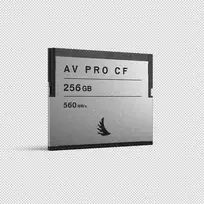Atminties kortelė - Angelbird AV PRO CFast SE 256GB