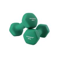 Svarmenų rinkinys Songmics, 2x4 kg