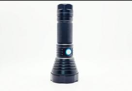 UV prožektorius 10w